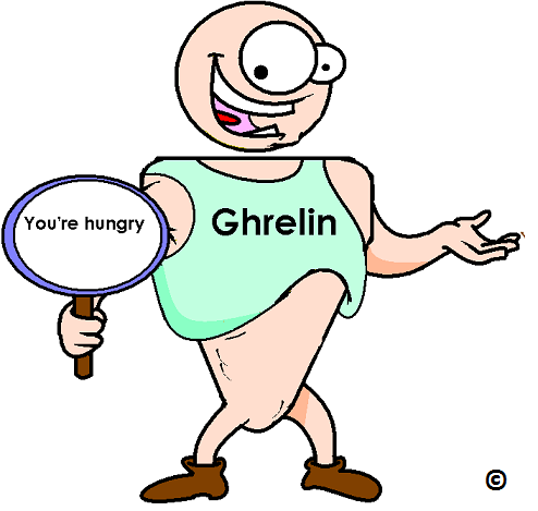 ghrelin