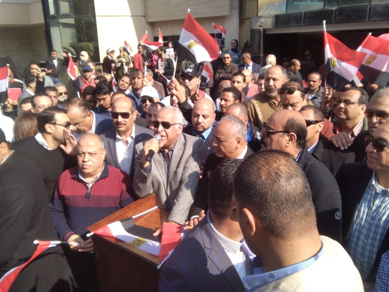 فرج عامر ومصطفى بكري يقودان مسيرة لدعم السيسي  (6)