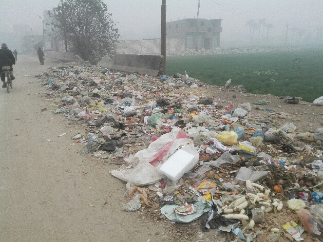 2- انتشار كميات من القمامة على جانب الطريق