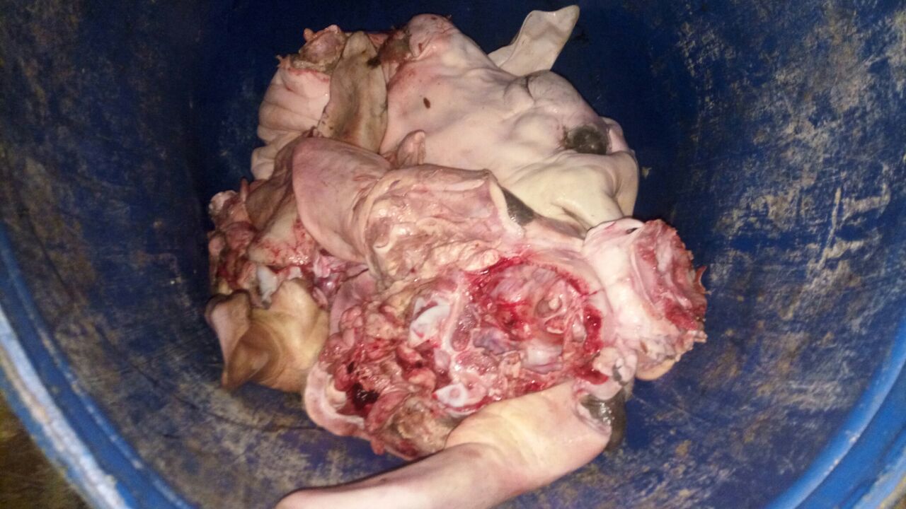 لحوم فاسدة  (1)