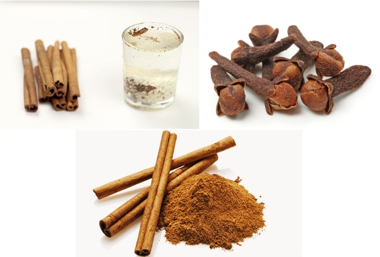 Cinnamon-and-Cloves-Lower-Blood-Sugar-And-Triglycerides_dailyhealthyfoodtips