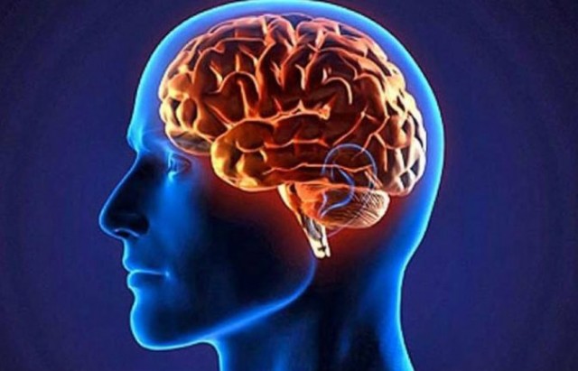 هرمون السعادة بالمخ هرمون السعادة بالمخ