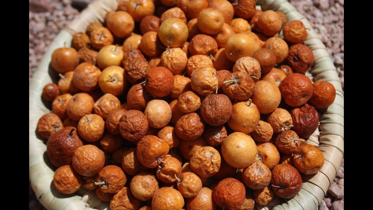 فوائد النبق فوائد النبق