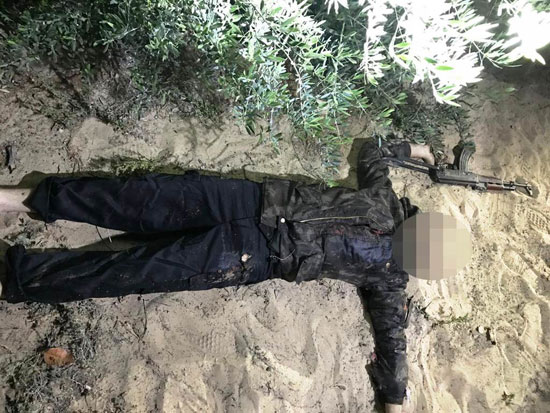 العناصر الإرهابية العناصر الإرهابية