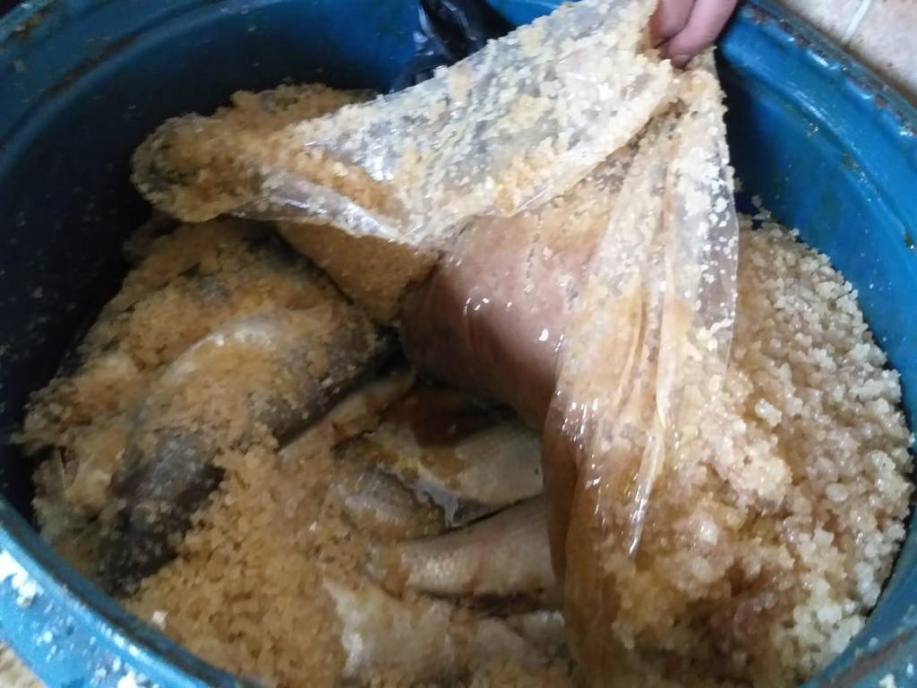جانب من المضبوطات جانب من المضبوطات