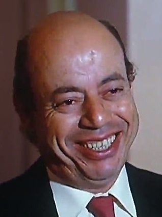 الفنان عبد الحميد المنير الفنان عبد الحميد المنير