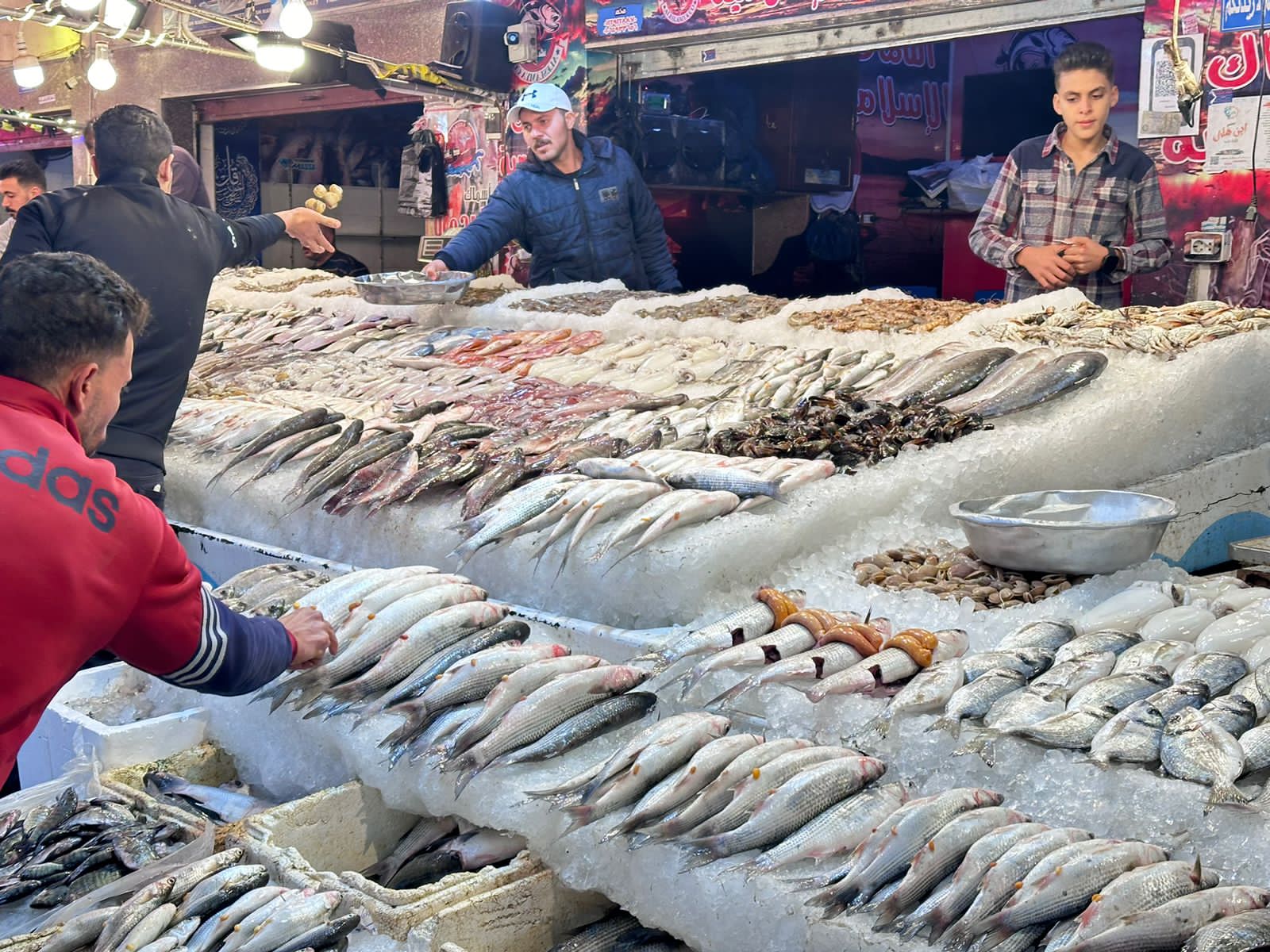بيع وشراء الأسماك بيع وشراء الأسماك