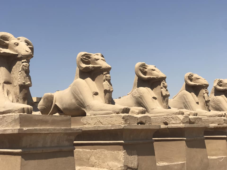 كباش الكرنك ترحب بالسياح في المعابد كباش الكرنك ترحب بالسياح في المعابد