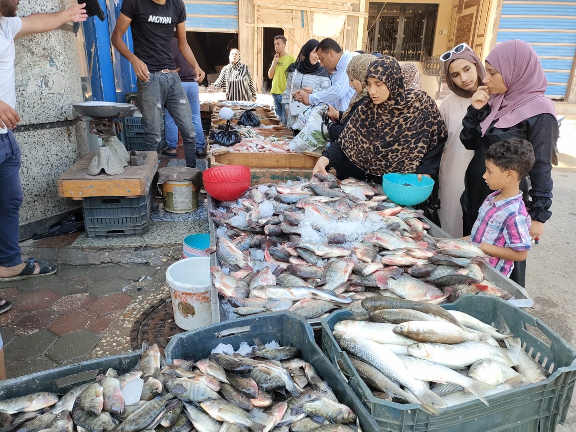 ظل السمك ظل السمك