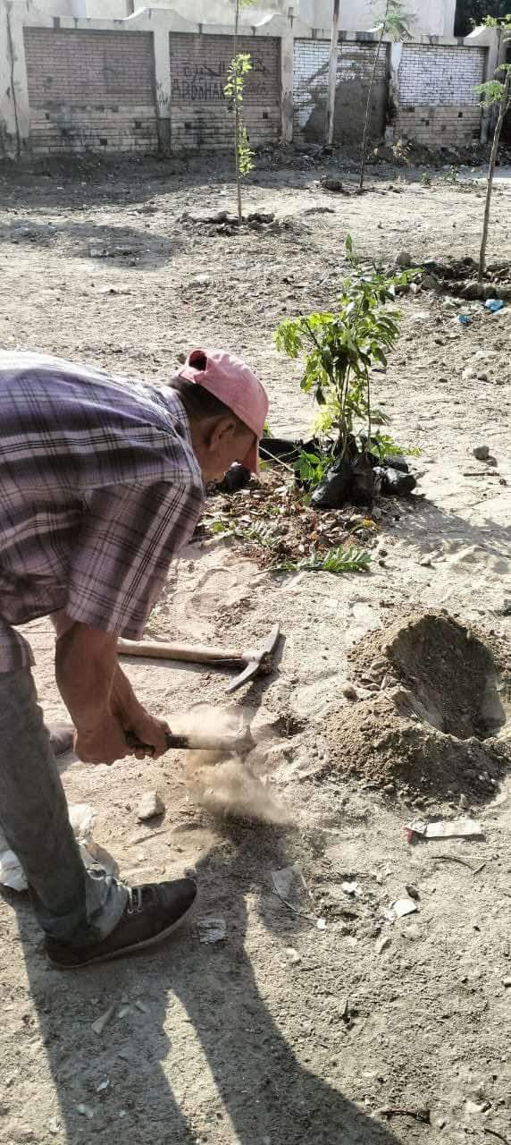 جانب من الزراعة جانب من الزراعة