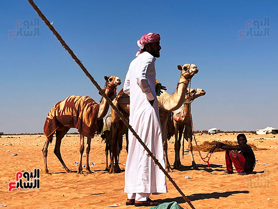 الجميع يبحث عن الفوز الجميع يبحث عن الفوز