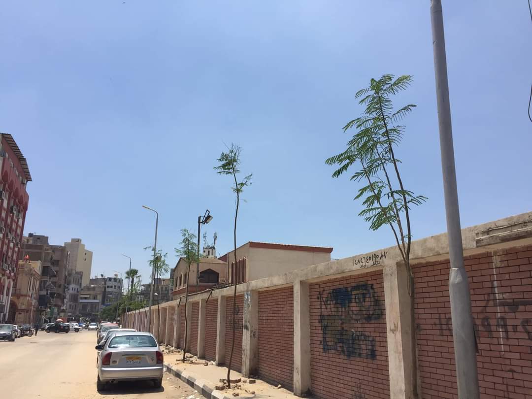 بعد الزراعة بعد الزراعة