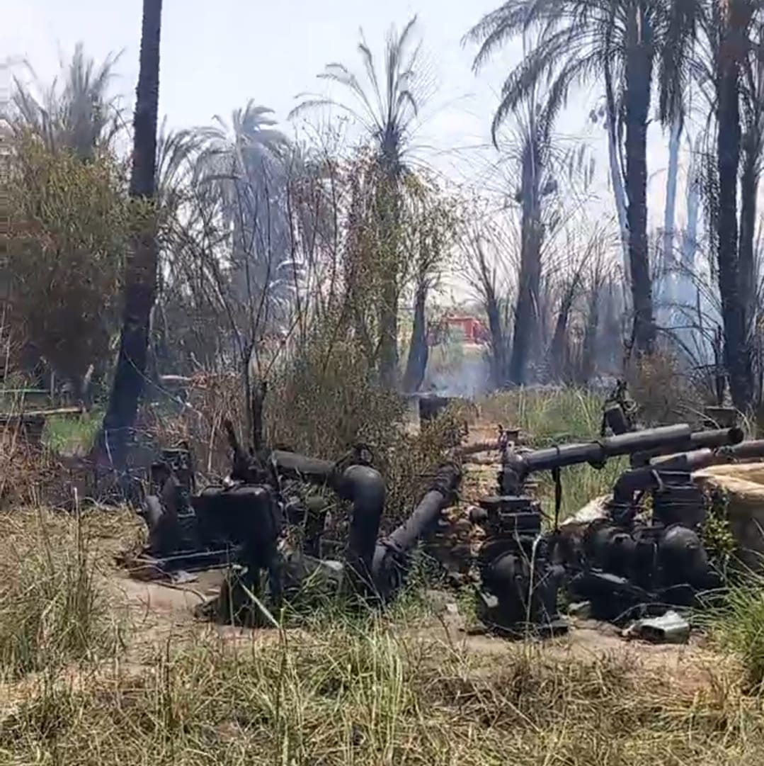 السيطرة على على حريق في كرم نخيل بمدينة إسنا دون مصابين السيطرة على على حريق في كرم نخيل بمدينة إسنا دون مصابين