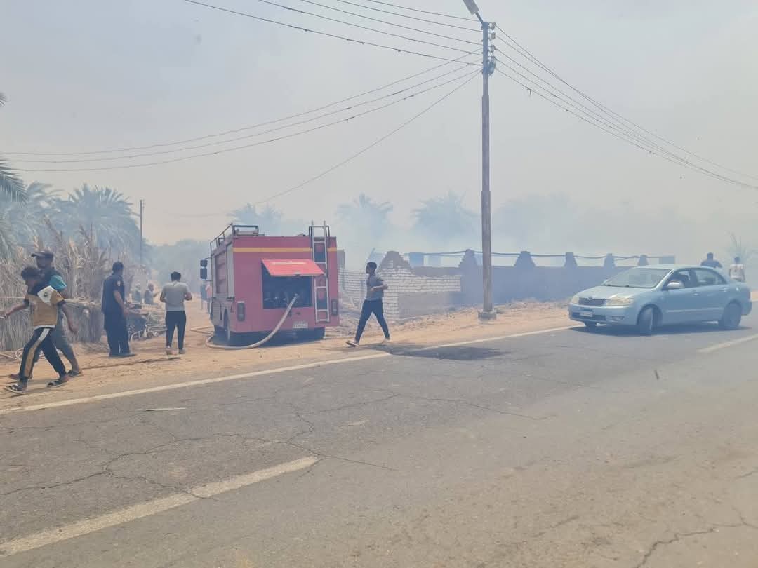 حريق بمزارع نخيل ومانجو بالقصر حريق بمزارع نخيل ومانجو بالقصر