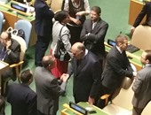 بعثة الإمارات بالأمم المتحدة تهنئ مصر بعضوية مجلس الأمن