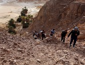 محمية منسية على أطراف مصر الجنوبية.. quotجبل علبةquot بجنوب البحر الأحمر تمتاز بالخضره والجمال.. وظهور الحيوانات بها كالغزال المصرى والنمر البرى.. وأودية حلايب وشلاتين تكتسى بالأعشاب والحشائش