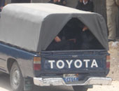 اخبار