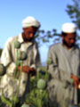 اخبار ضبط شخصين بحوزتهما 200 جرام