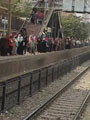 اخبار إحالة 5 من