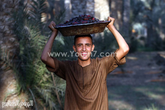 اليوم السابع -10 -2015