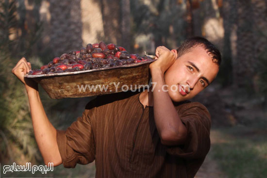 اليوم السابع -10 -2015