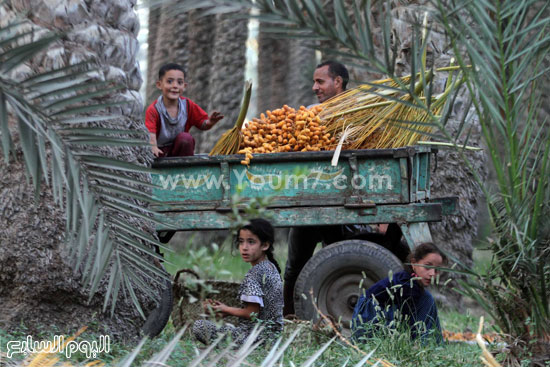 اليوم السابع -10 -2015