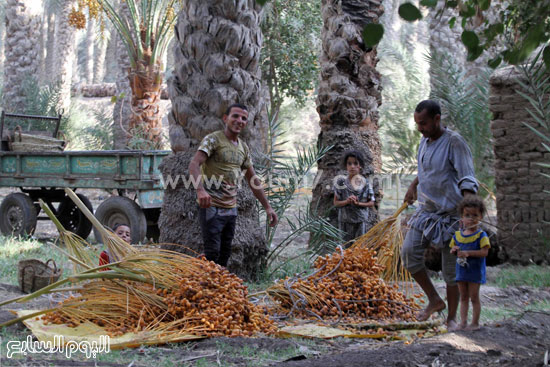 اليوم السابع -10 -2015