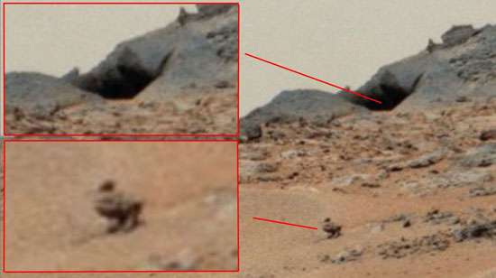  رصد بطة على سطح المريخ  -اليوم السابع -10 -2015