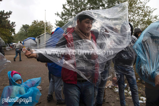 اليوم السابع -10 -2015