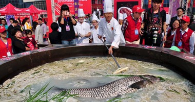 سمكة 80 كيلو بمهرجان الطعام الصيني -اليوم السابع -10 -2015