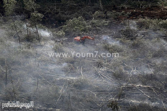 اليوم السابع -10 -2015