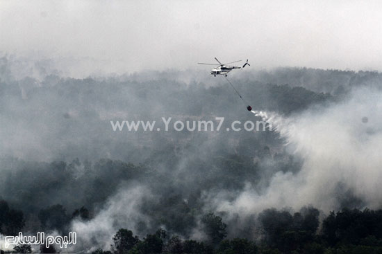 اليوم السابع -10 -2015