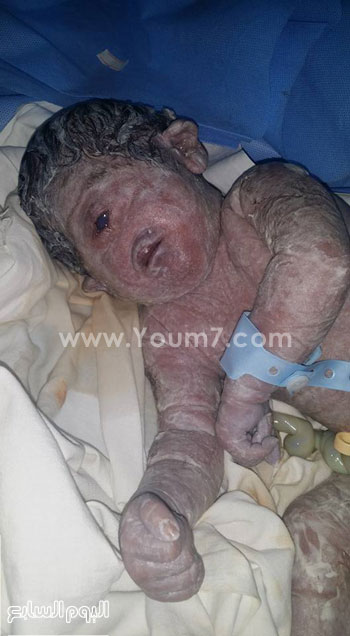 اليوم السابع -10 -2015