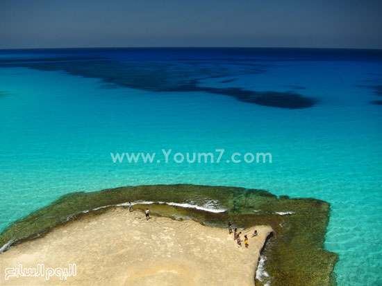 اليوم السابع -10 -2015