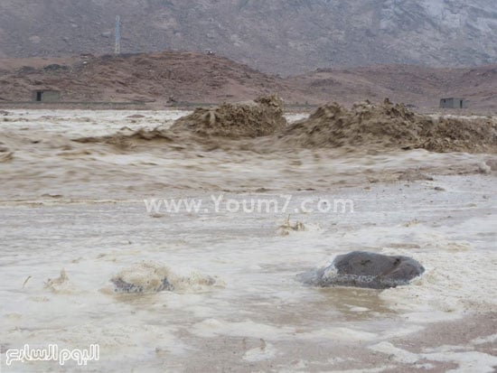 اليوم السابع -10 -2015