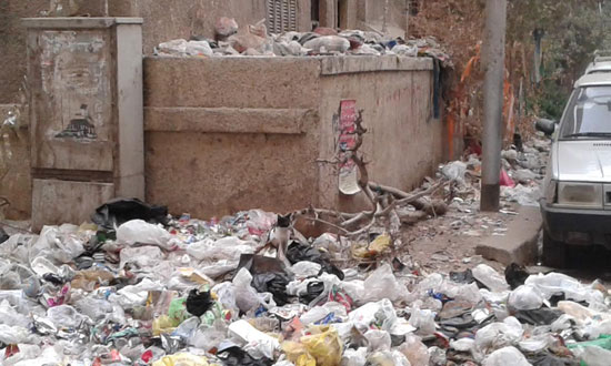 اليوم السابع -10 -2015