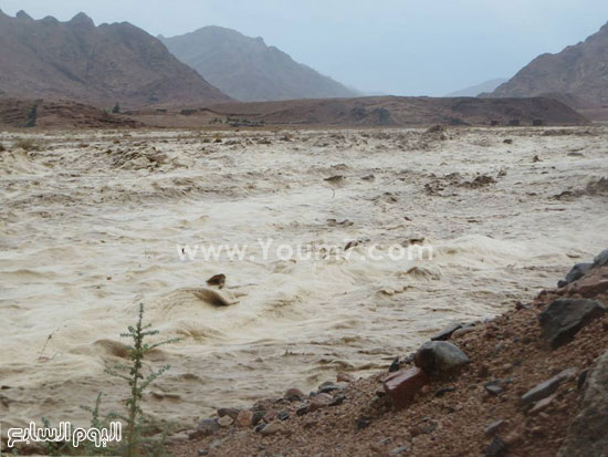 اليوم السابع -10 -2015