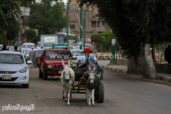 اليوم السابع -10 -2015