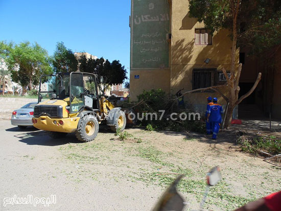 رفع مخلفات تهذيب الأشجار  -اليوم السابع -10 -2015
