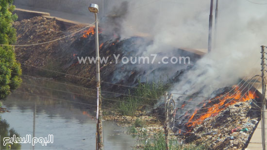 اليوم السابع -10 -2015