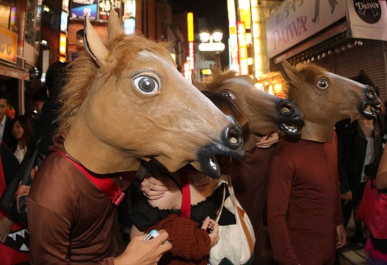 رجال يرتدون وجه الحصان ويلتقطون الصور  -اليوم السابع -10 -2015