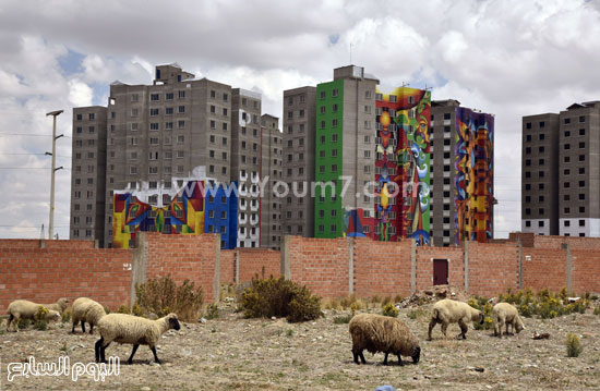 جانب من الجرافيتى ببوليفيا -اليوم السابع -10 -2015