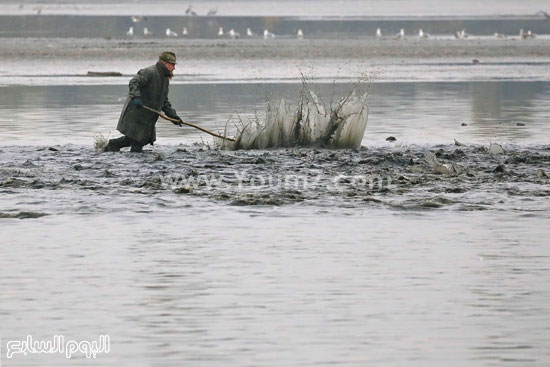 الصيادون يضربون على الماء لتوجيه السمك إلى قاربهم  -اليوم السابع -10 -2015