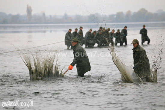جموعة من الصيادين يسحبون الشبكة لتجميع الأسماك  -اليوم السابع -10 -2015