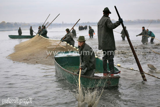 عملية جمع الأسماك فى قوارب الصيد  -اليوم السابع -10 -2015