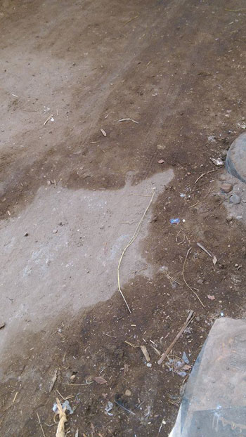 اليوم السابع -10 -2015