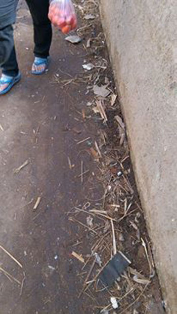 اليوم السابع -10 -2015