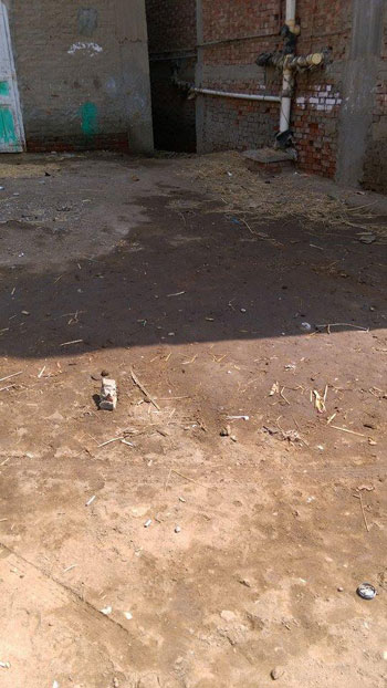 اليوم السابع -10 -2015