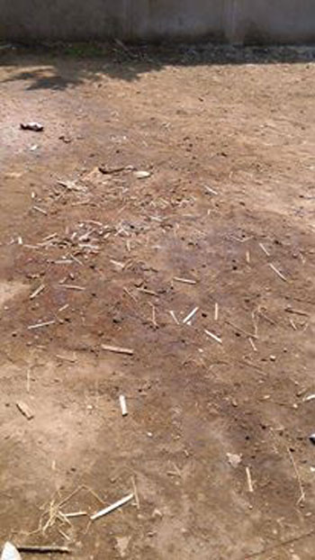 اليوم السابع -10 -2015