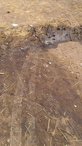 اليوم السابع -10 -2015